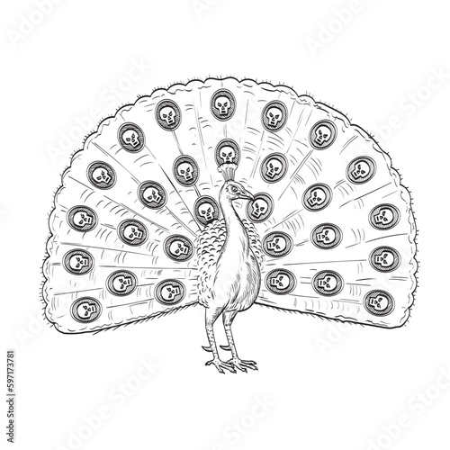 Comics style drawing or illustration of a peacock, Indian peafowl, common peafowl or blue peafowl with fan like tail of skull viewed from front on isolated background in black and white retro style.
 photo