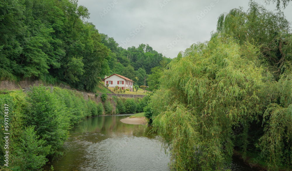 Río con vegetación