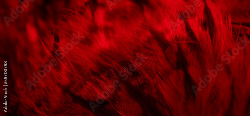 red feathers of the owl with visible details © Krzysztof Bubel