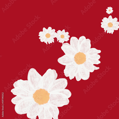 Daisy flowers with red background