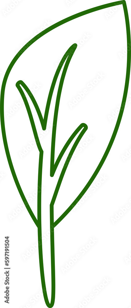 tropical leaf line illustration