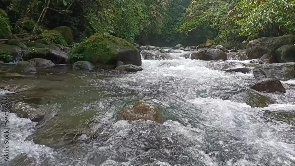 Clear stream running through stone boulders. Abundant river flowing on stone bottom. Wild mountain river water splashing in summer day. Clear stream running through stone boulders. Abundant river flowing on stone bottom. Wild mountain river water splashing in summer day.
