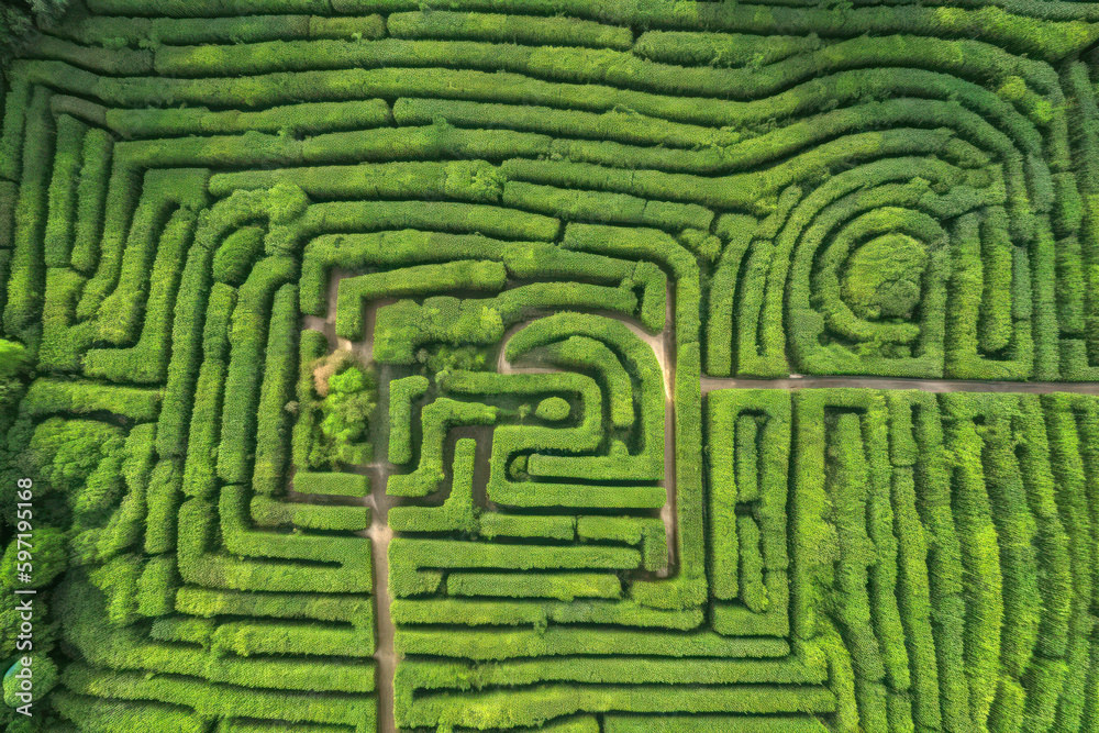 Aerial top view of an ancient maze, created with Generative AI technology Aerial top view of an ancient maze, created with Generative AI technology