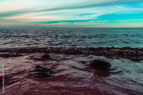 Fototapeta Naklejka Na Ścianę i Meble -  plaża nad Bałtykiem o zachodzie słońca