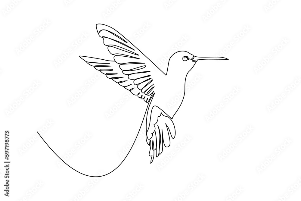 Fototapeta premium hummingbird animal bird realistic one single line art