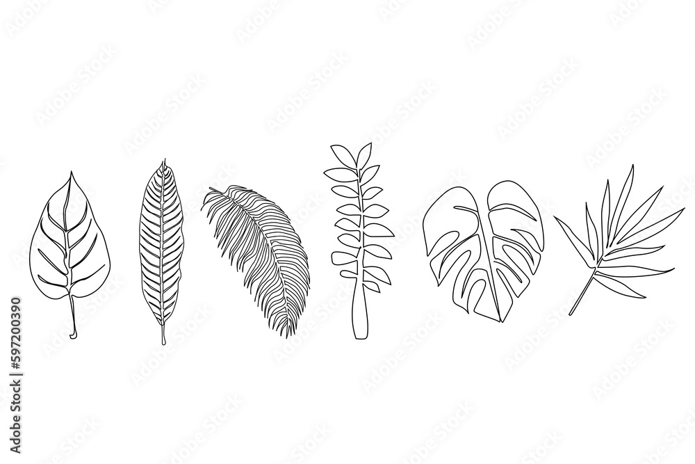 tropical tropical different types of leaves set collection objects line art
