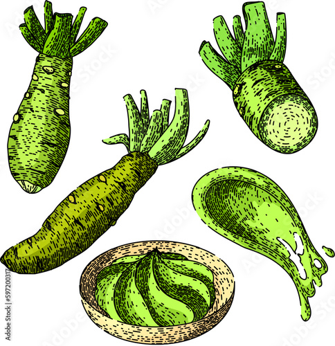 wasabi green set sketch hand drawn vector