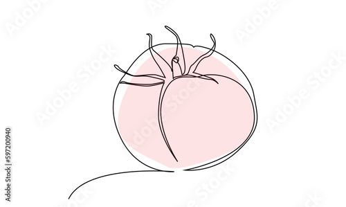 ripe fresh one tomato fruit vegetable line art