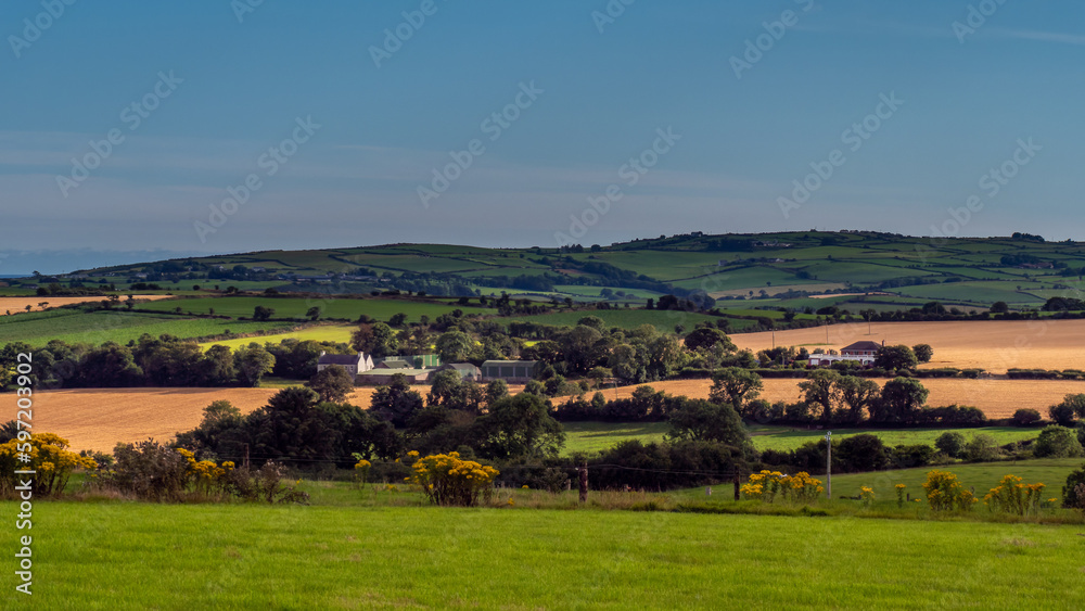 Green farm fields and hills in the evening in Ireland. Irish rural landscape, agricultural land. Green grass field near trees