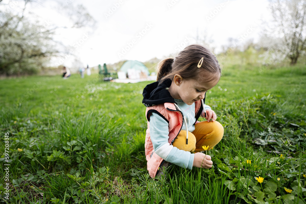 Baby girl plucking yellow flowers on spring meadow. Baby girl plucking yellow flowers on spring meadow.