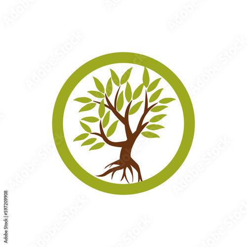 Mangrove tree with roots and green leaves vector illustration. © yudi