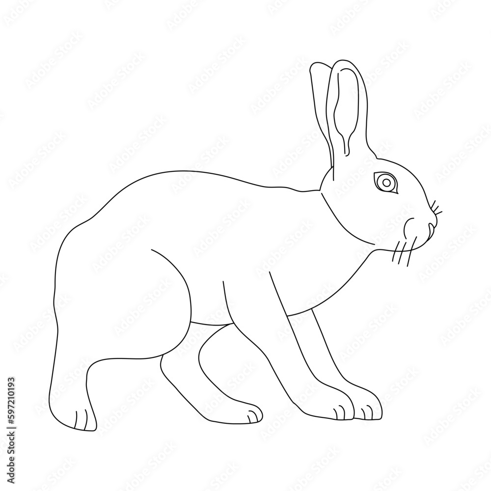 Fototapeta premium Rabbit in line art drawing style. Vector illustration.