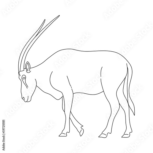 Sketch of Oryx. Hand drawn vector illustration.