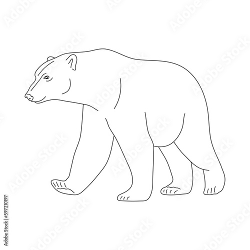 Doodle of Polar bear. Hand drawn vector illustration.
