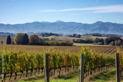 vineyard with rolling hills and a mountain range in the background  created with generative ai