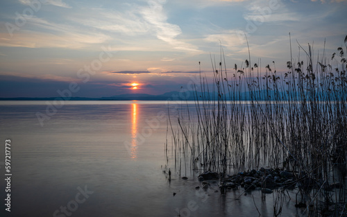 Sonnenuntergang am See mit Schilf