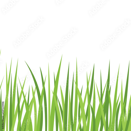 blades of green grass with copy space - vector illustration
