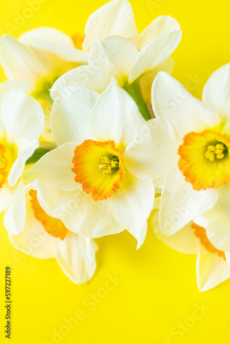 Bouquet of bright white and yellow daffodils on a yellow background with copy space. Close-up, macro.