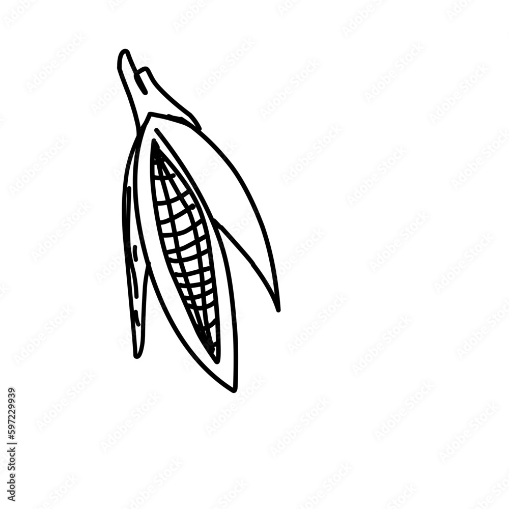 Organic Vegetable Doodle Organic Vegetable Doodle