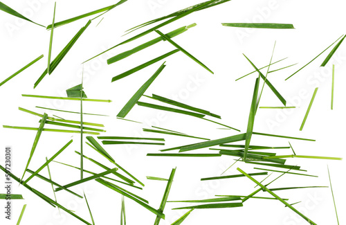 Green cut wild grass isolated on white background and texture, top view
