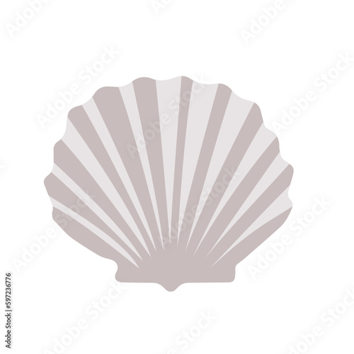 sea shell vector simple in gentle color