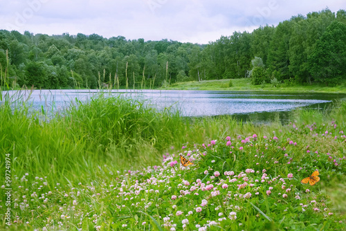 wild flowers against blurred natural background of landscape with a river and forest. beautiful harmony peaceful nature image. spring summer season. template for design. copy space