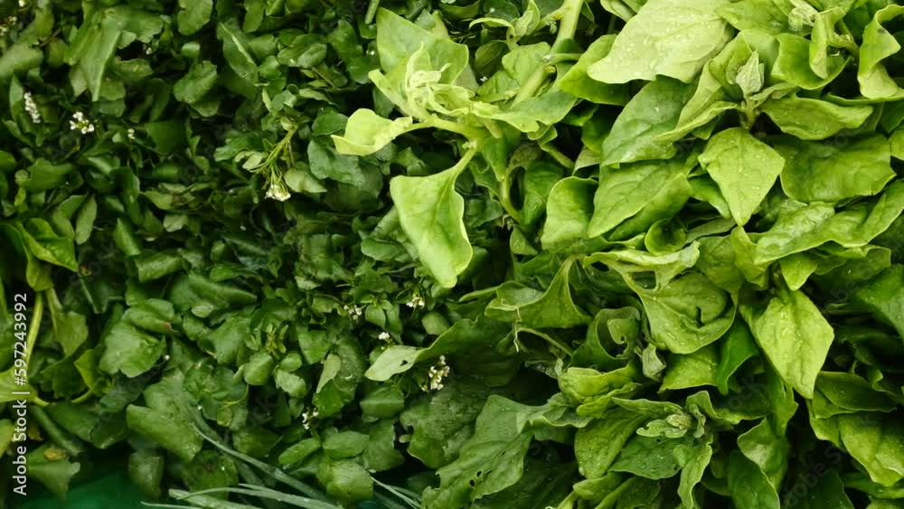 Foliage, greenery on the market Foliage, greenery on the market