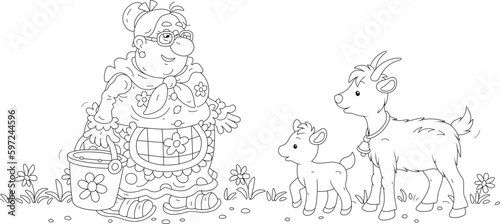 Funny granny with a bucket of food going to feed her cute goat and a merry goatling in a yard of a home farm, black and white outline vector cartoon illustration for a coloring book