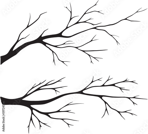 A set of black and white, vector, isolated illustrations of a dead, dry tree, branch. Drawn by hand. For design and decoration.