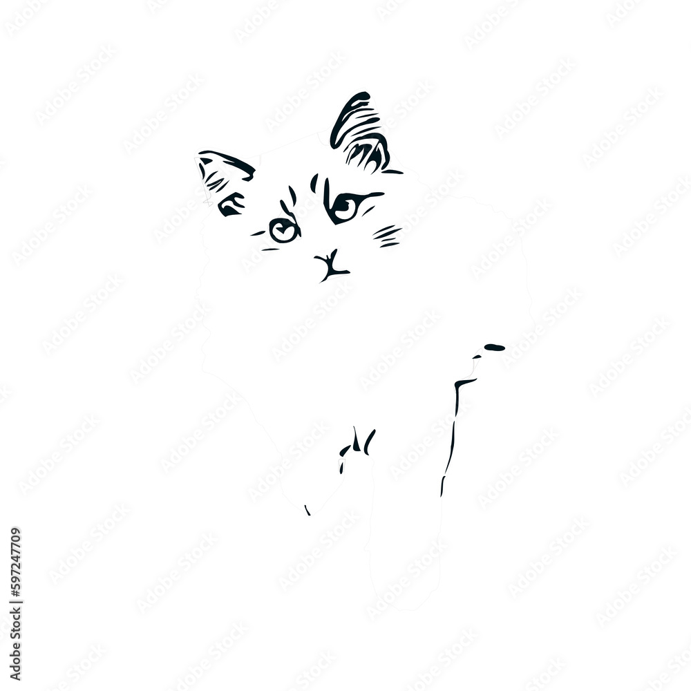 Obraz premium black and white sketch of a cat with a transparent background