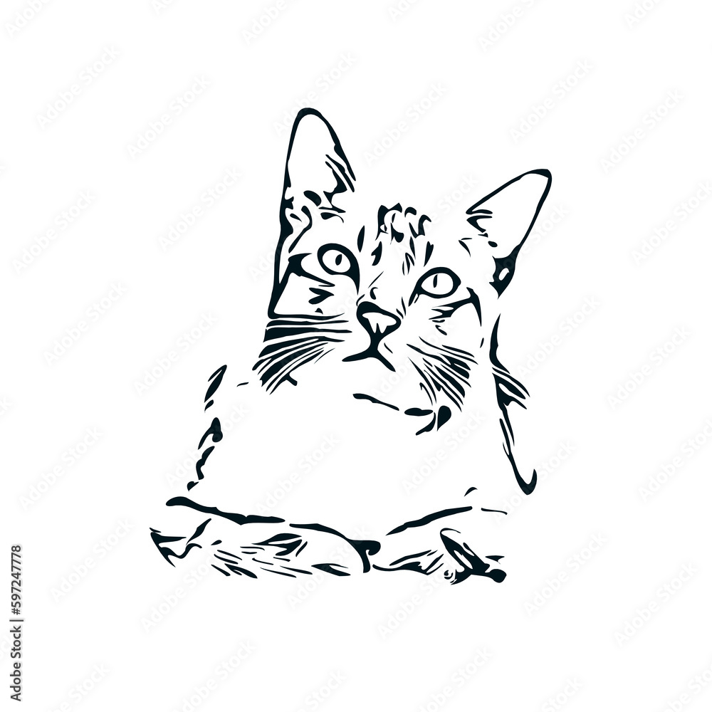 black and white sketch of a cat with a transparent background