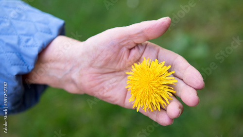Hand, Senioren, Blume, Symbol