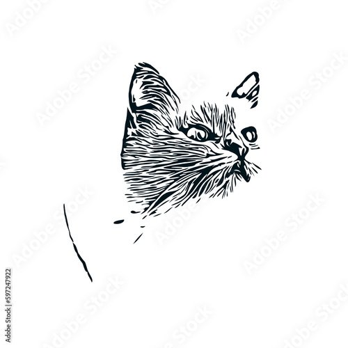 black and white sketch of a cat with a transparent background