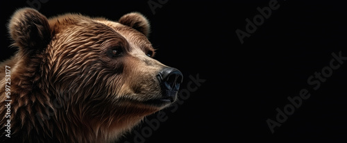 The head of a bear in profile close-up. Panoramic image of a brown bear's head on the right against the background of a black isolated banner. Generative AI.