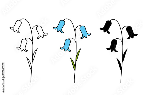 Set of bluebells: outline, silhouette, color image. Isolated floral elements on white background. Campanula. Bellflower.