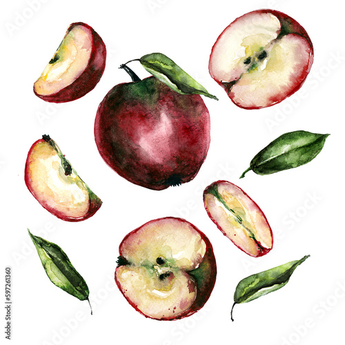 Apple clip art with leaves on transparent background