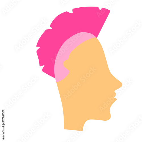 Pink Mohawk Style 