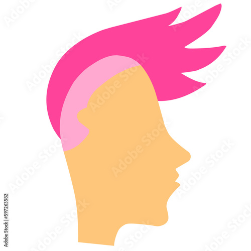 Pink Mohawk Style 