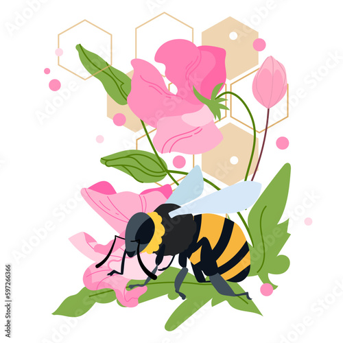 Honey bee with sweet pea flowers and honeycomb vector illustration isolated on white background. Summer time