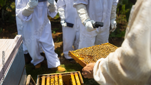 Beekeeper in protective suit holding honeycomb with bees from the beehive at the apiary.