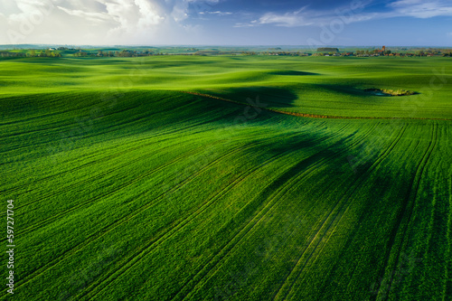 Aerial landscape of the green fields in northern Poland at spring time. © Patryk Kosmider