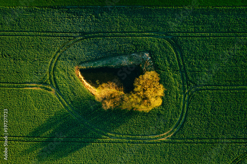 Aerial landscape of the green fields in northern Poland at spring time. photo