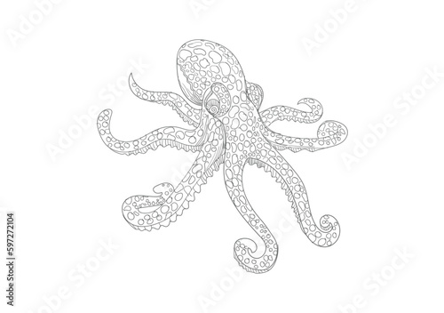 Octopus logo design vector