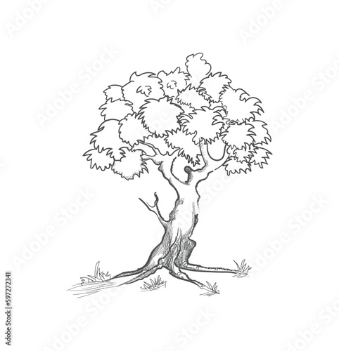 Nature trees vector illustration logo design.  Tree vector icon. Nature trees vector illustration logo design.