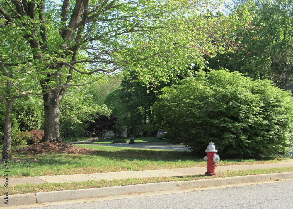 Fototapeta premium Summer roadside fire hydrant in neighborhood