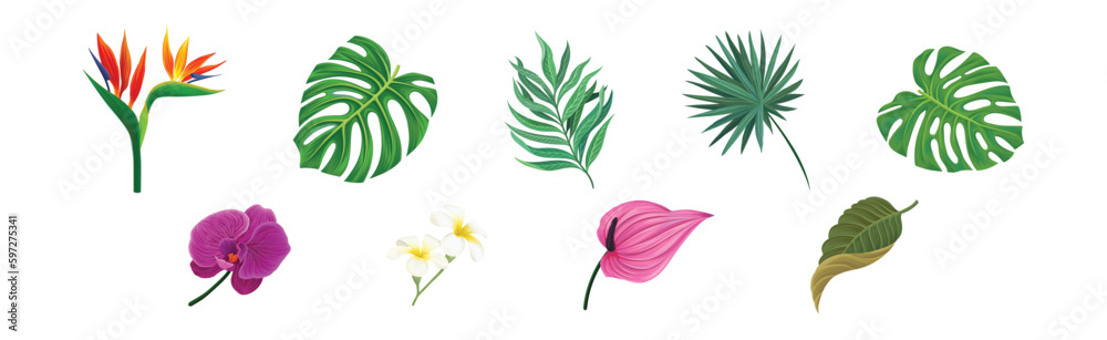 Obraz premium Tropical Foliage with Exotic Plant Green Leaf and Flower Vector Set