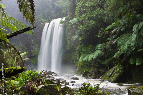 waterfall in the forest