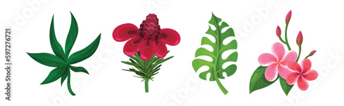 Tropical Foliage with Exotic Plant Green Leaf and Flower Vector Set