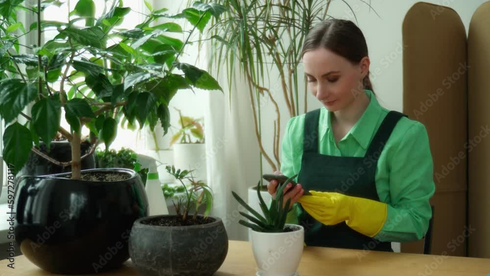 Woman taking care of her plants and using her smartphone. Woman taking care of her plants and using her smartphone.