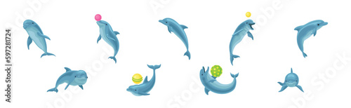Blue Dolphin as Aquatic Mammal with Streamlined Body and Flippers Playing Ball Vector Set